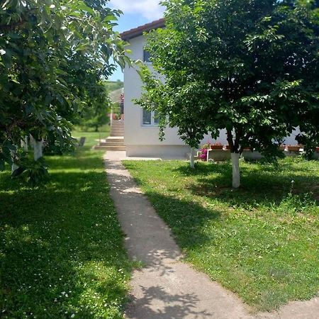 Apartman Flora Vrdnik Zewnętrze zdjęcie