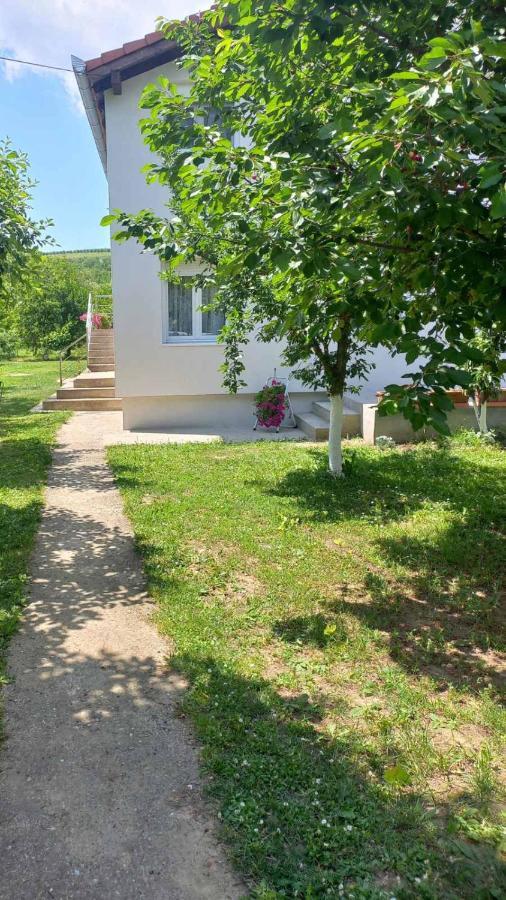 Apartman Flora Vrdnik Zewnętrze zdjęcie