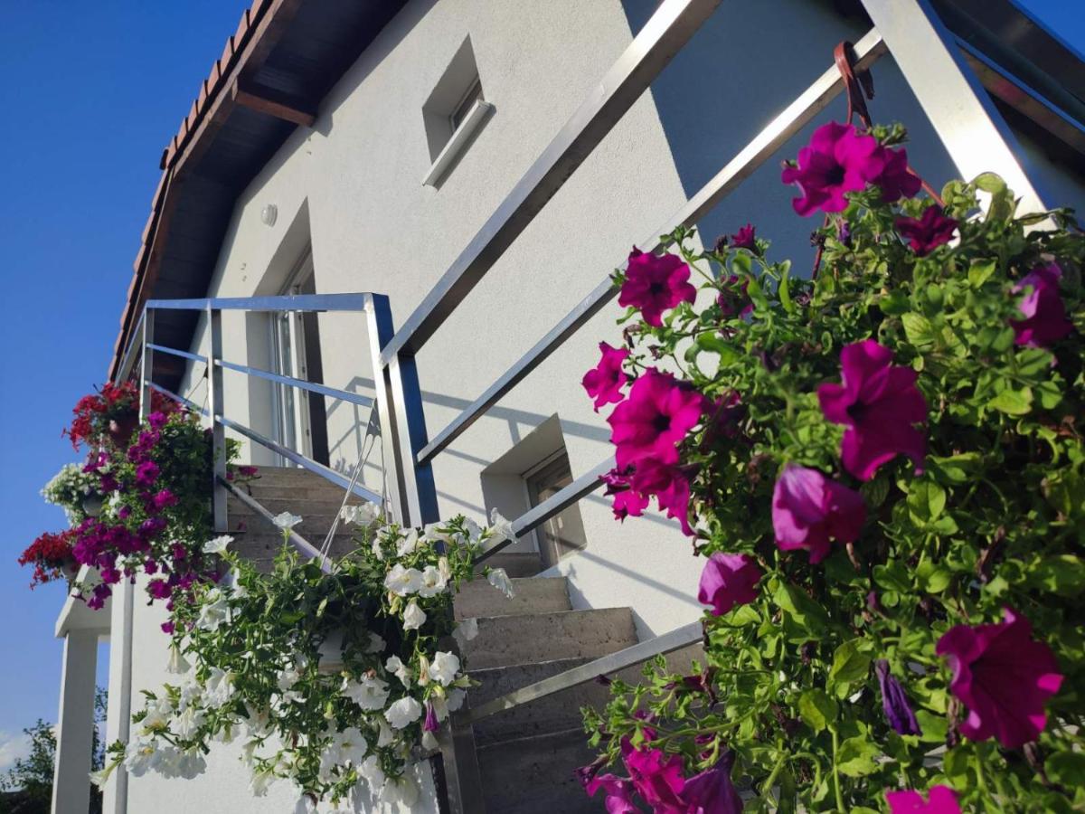 Apartman Flora Vrdnik Zewnętrze zdjęcie