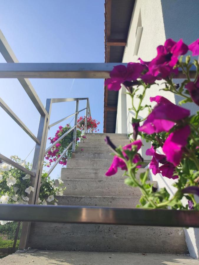 Apartman Flora Vrdnik Zewnętrze zdjęcie