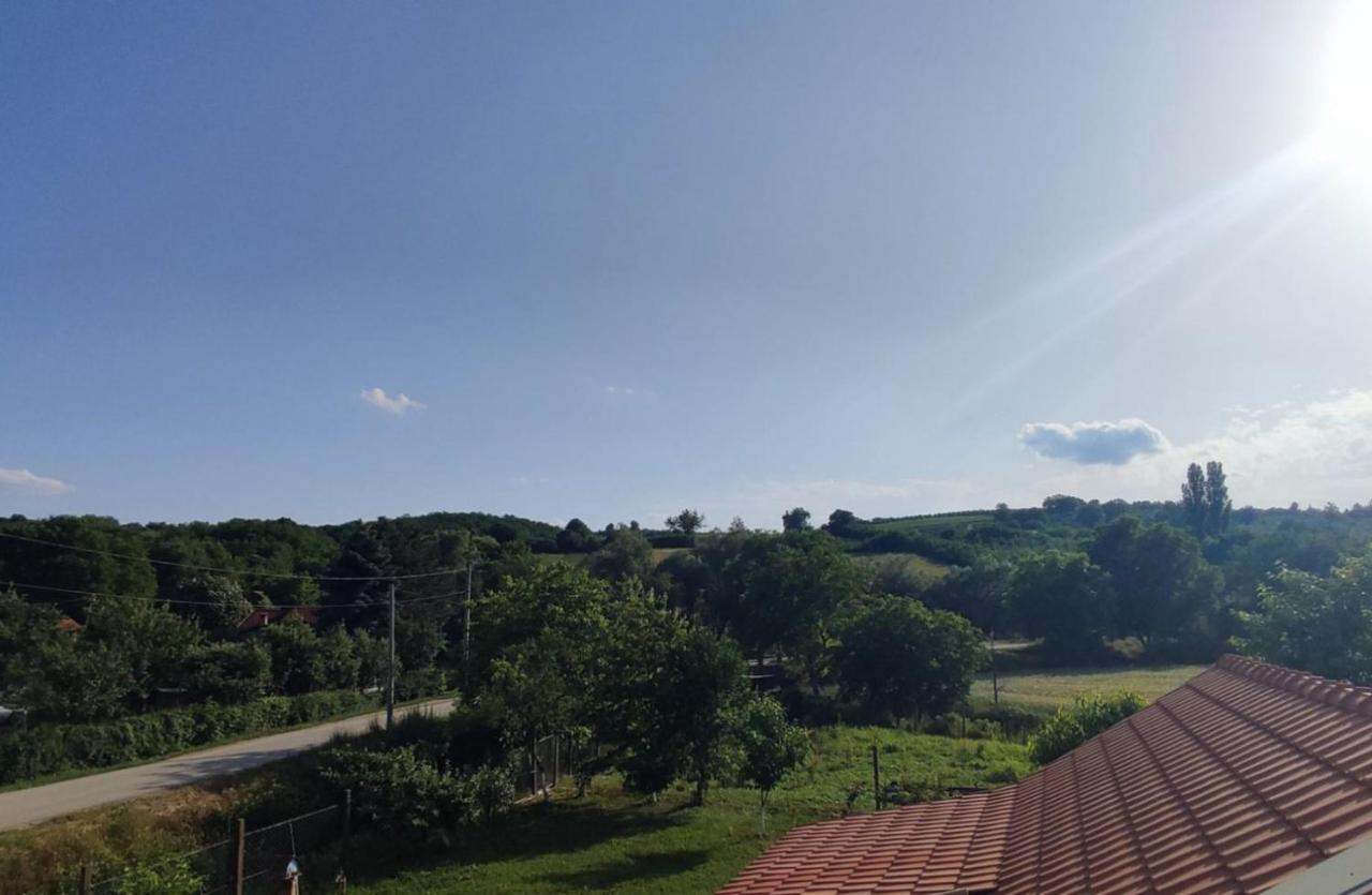 Apartman Flora Vrdnik Zewnętrze zdjęcie