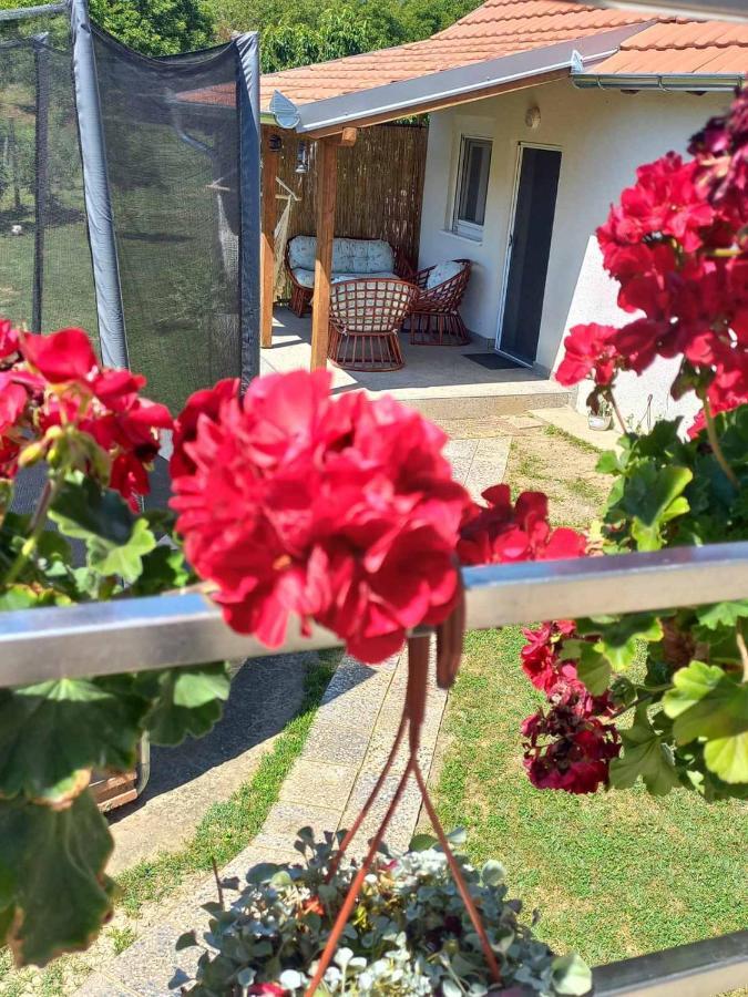 Apartman Flora Vrdnik Zewnętrze zdjęcie