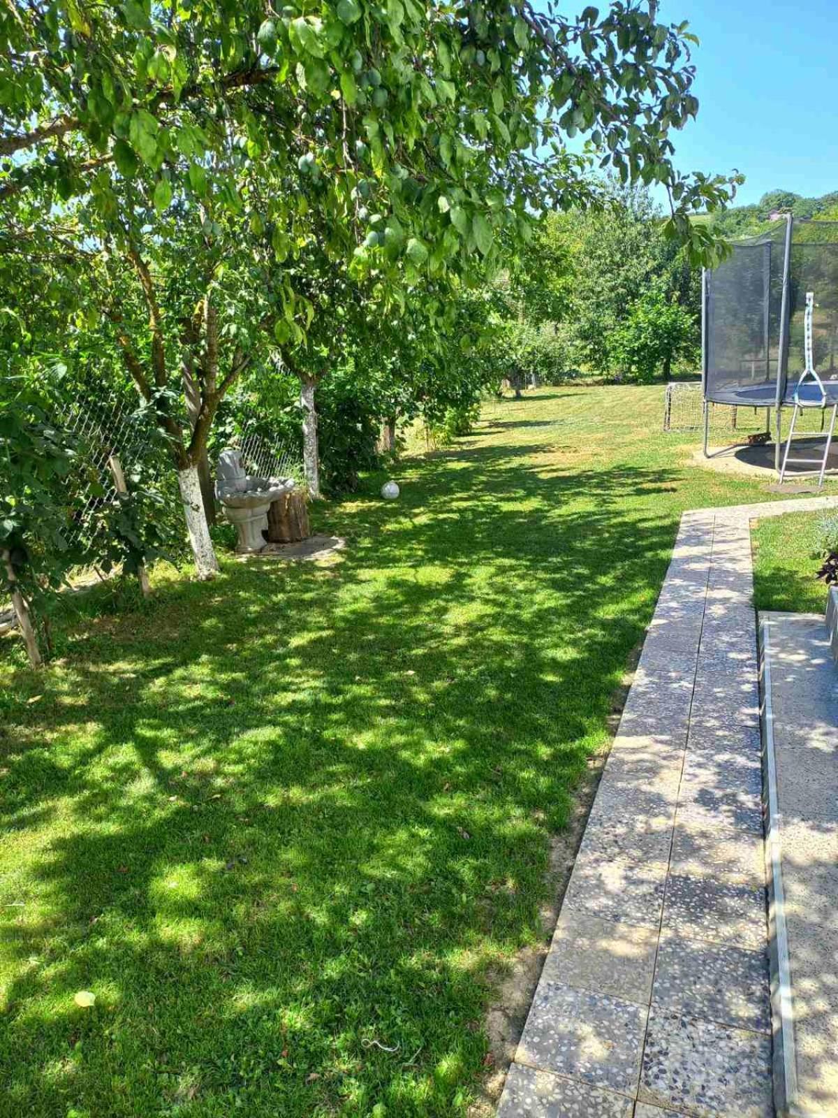 Apartman Flora Vrdnik Zewnętrze zdjęcie